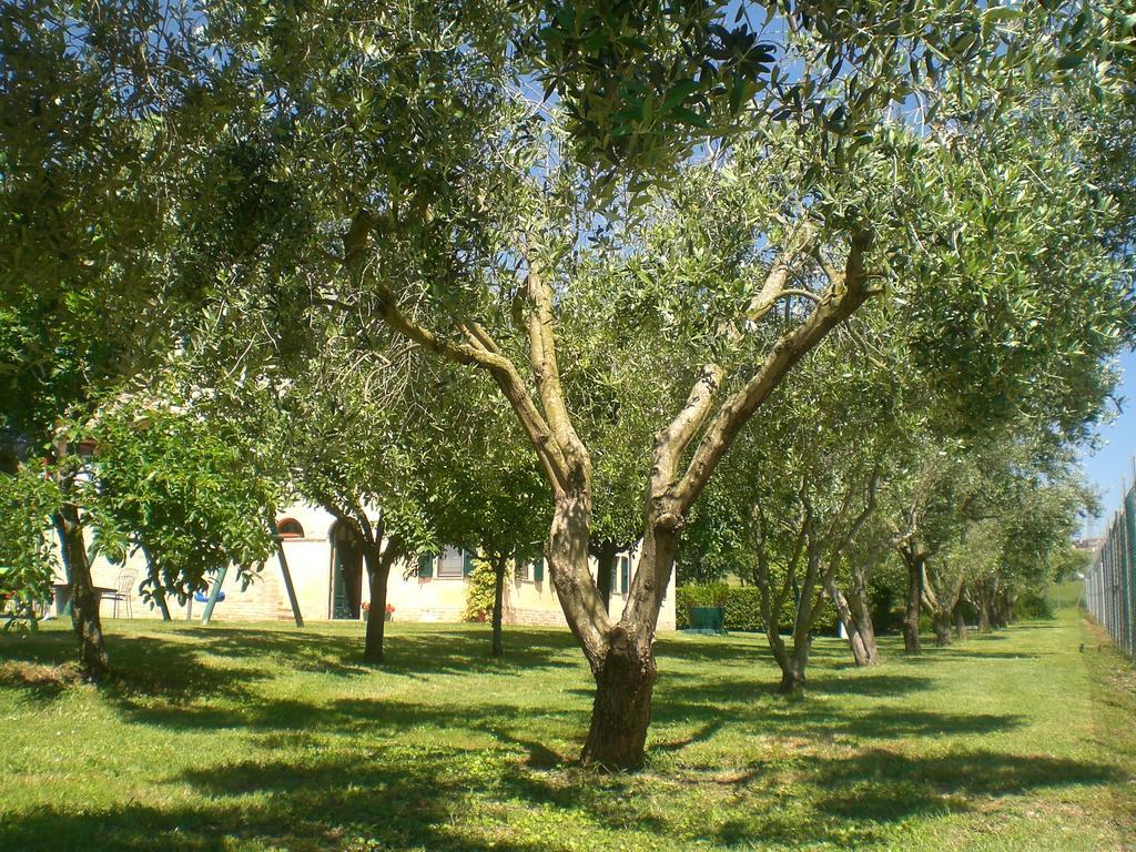 לינה וארוחת בוקר אוסימו I Ciliegi מראה חיצוני תמונה